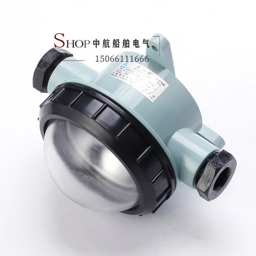 上海亮舟船用塑料白炽舱顶灯CCD3-2/3舱室照明灯24V30W/CCS证正品 - 图1