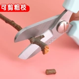 Деликальная садовая ножницы цветочный искусство широко раскрытый семейный цветочный срезанный цветочный срезанный цветочный