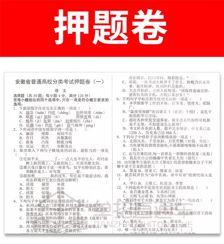 2025年安徽省高职单招直通车春季升学考试知识点归纳语文数学英语综合素质职业适应性技能测试题库高职单招分类考试全真模拟试卷-图2