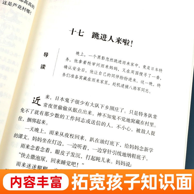 青铜葵花曹文轩四年级阅读课外书必读正版下册小英雄雨来宝葫芦的秘密完整版老师儿童文学获奖作品 五年级课外书籍目江苏少儿推荐 - 图1