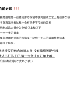 福利款玻璃天然植物标本