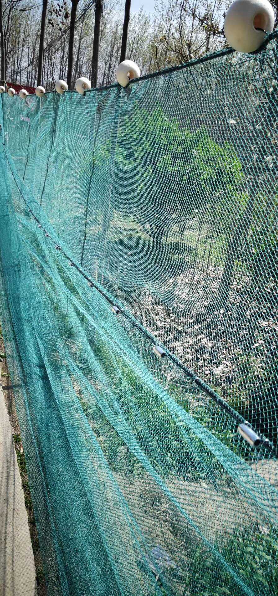 フェリモア 投げ網 投網 仕掛け網 漁 カニ網 魚 川 池 沼 海 湖 磯 漁業 螺旋式 直径3m マルチカラー 正規通販