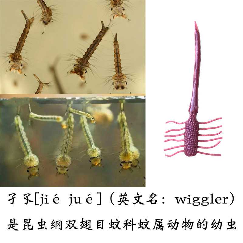 日本大牌尾单路亚软饵黑坑鲈鱼鳜鱼黑鱼翘嘴假饵,淘宝优惠券,粉丝福利购,淘宝优惠卷