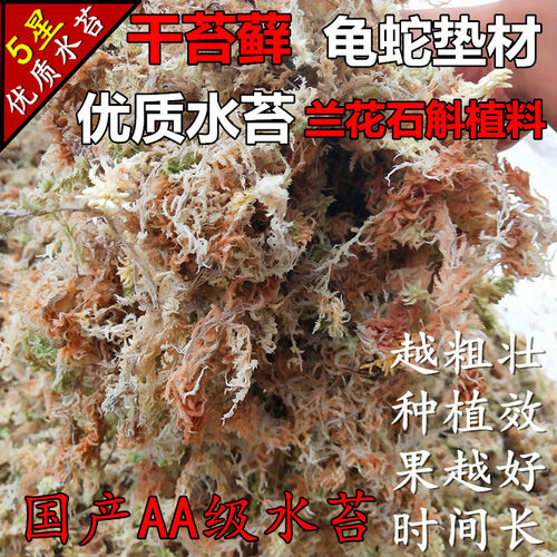 干苔藓干水苔水草乌龟运输冬眠垫才专用铁皮石斛兰花育苗嫁接种植 - 图1