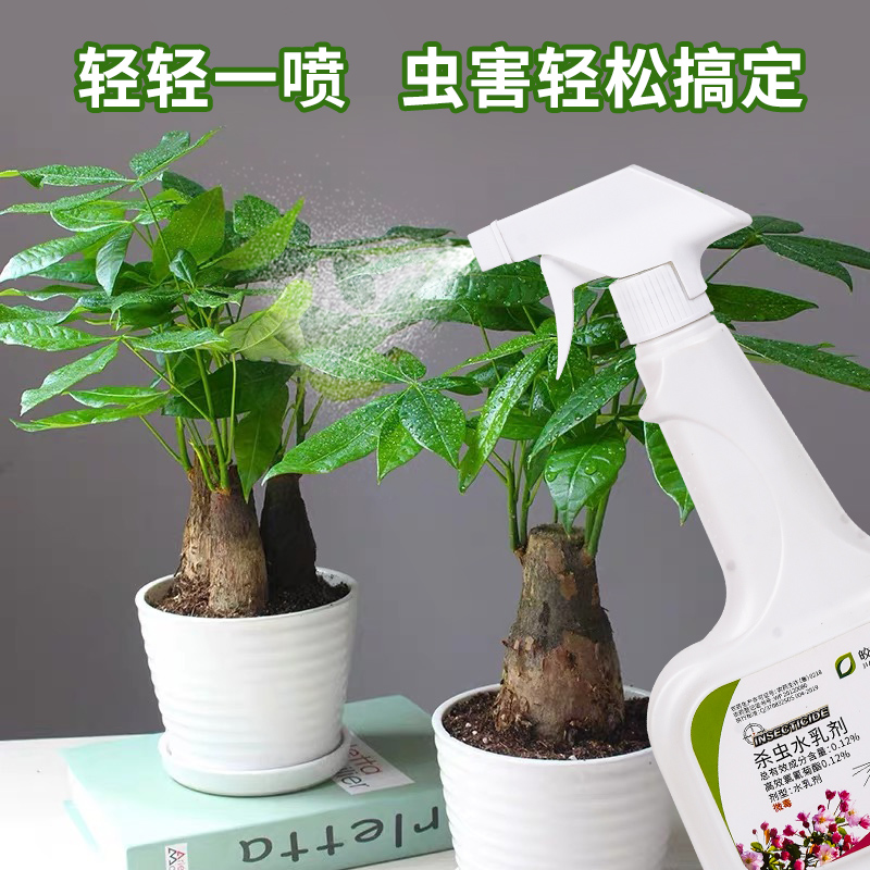 发财树杀虫剂家用室内花卉植物介壳虫土壤专用药除虫药盆栽喷雾灭-图1