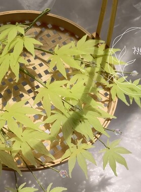 枫叶软簪桃花清酒原创配饰热缩花