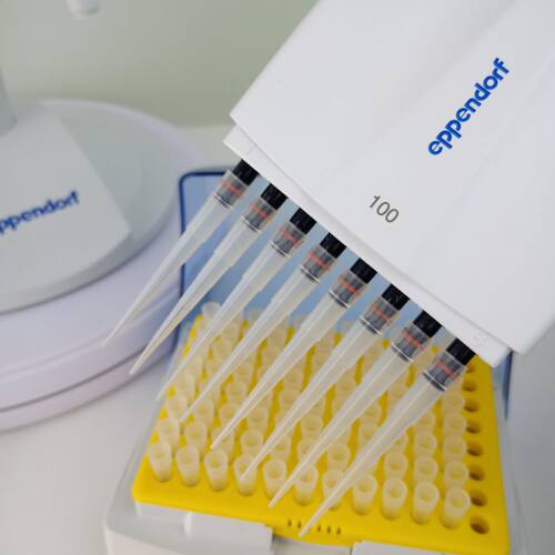 正品艾本德Eppendorf plus 8道移液器八道移液枪排枪整支消毒 - 图1