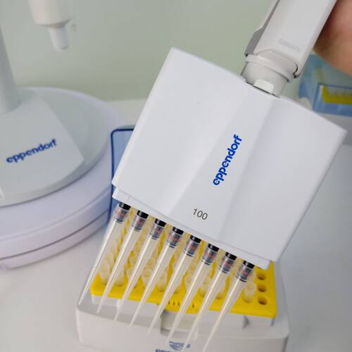 正品艾本德Eppendorf plus 8道移液器八道移液枪排枪整支消毒 - 图0