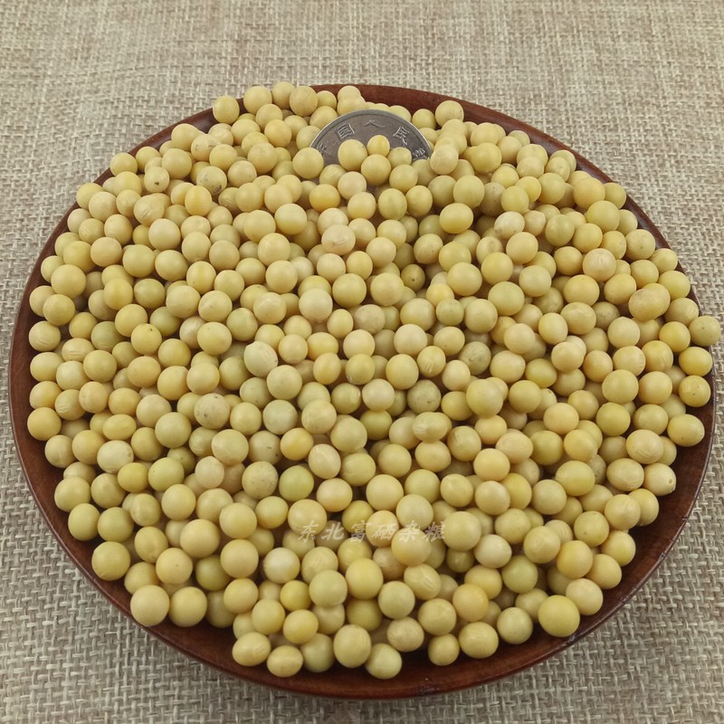 金江食品专营店东北小粒黄豆690豆浆发生豆芽纳豆打豆浆专用5斤农家自种非转基因2