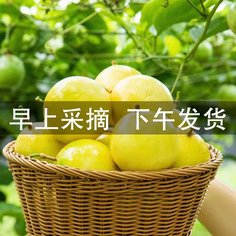 福建黄金现摘现发新鲜孕妇5百香果图片_2