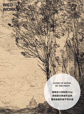 玄关客厅中古小众风景植物素描画