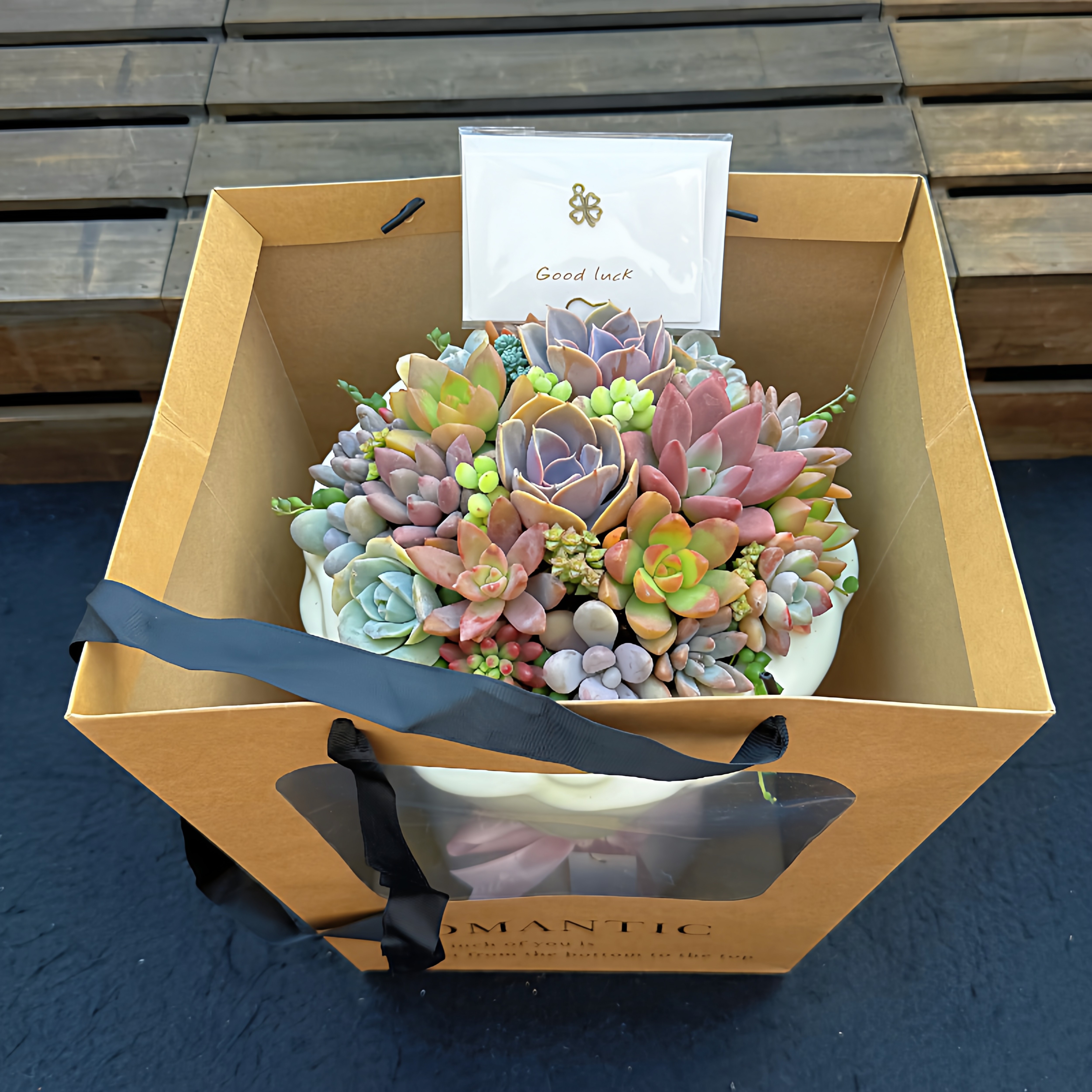 多肉植物花束手捧花组合拼盘带盆带土栽好成品 节日创意礼物礼盒,淘宝优惠券,粉丝福利购,淘宝优惠卷