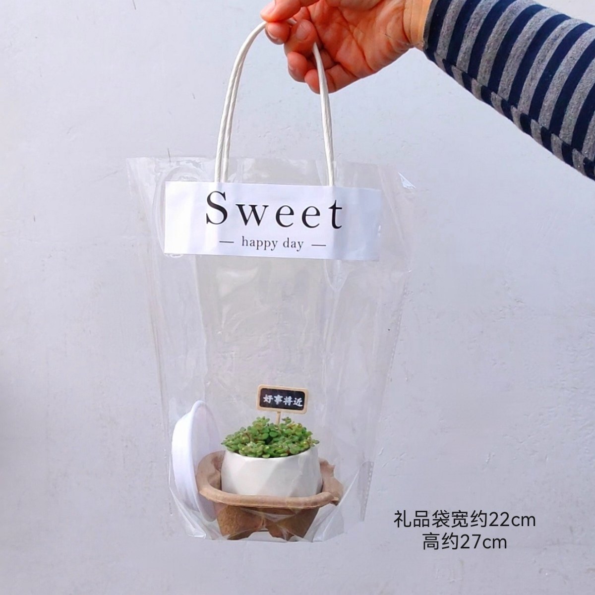 多肉植物小盆栽带盆栽种好成品送托盘和浇水壶中号盆新品好养特价,淘宝优惠券,粉丝福利购,淘宝优惠卷