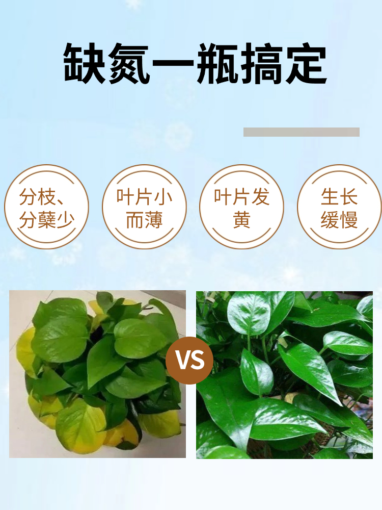 非洲茉灰莉专用氮肥营养液家用室内大型盆栽绿植物浓缩水溶花肥料 - 图2