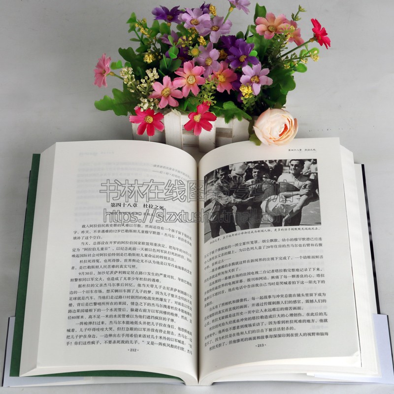 巴以生死场 马晓霖中东三部曲 中东阿拉伯地区巴勒斯坦以色列加沙伊拉克战争现代军事纪实文学畅销书籍正版 金城出版社