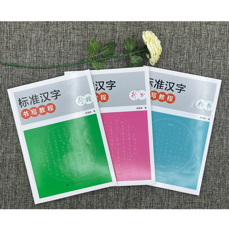 标准汉字书写教程系列（3册）标准汉字书写教程行楷行书楷书书写工具学习方法硬笔书法字帖临摹 中小学生硬笔书法教程 河南美术