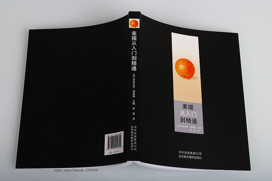 《素描从入门到精通》多米尼克·弗费勒著素描画绘画技法提升技巧基础练习主要画笔用具自然元素静物人物画动物风景北京美术摄影