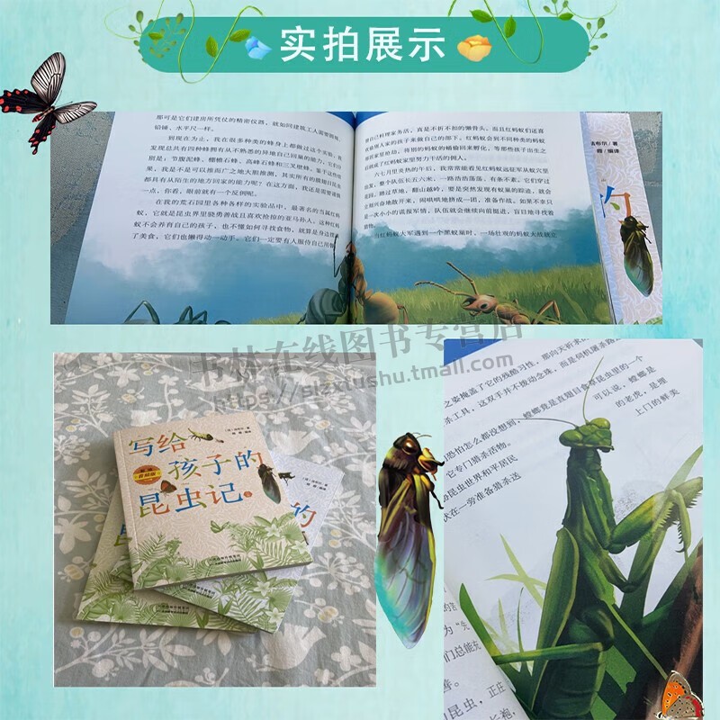 写给孩子的昆虫记(全3册)彩绘音频版法布尔原版译本 昆虫科学知识 昆虫动物探索 昆虫记 5-14岁儿童青少年昆虫绘本故事 天津科技