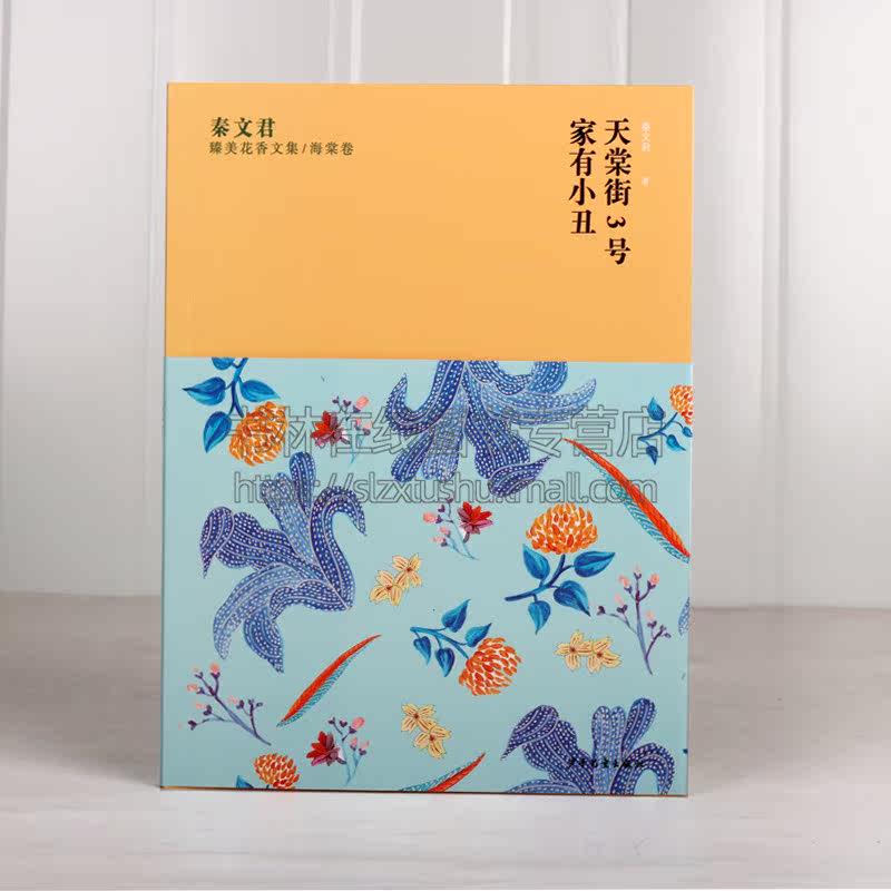 天棠街3号 家有小丑 秦文君臻美花香文集海棠卷 儿童文学名家经典书系少年版故事青少年小学生课外阅读男孩成长励志书籍 少年儿童