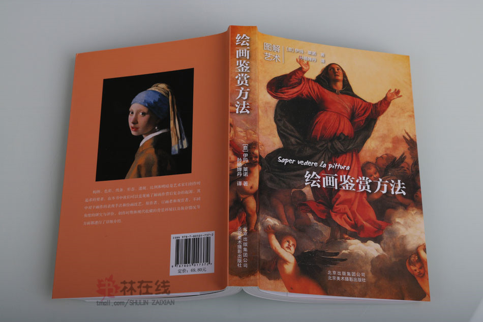 图解艺术系列丛书《绘画鉴赏方法》伊玛莱诺著图解技巧与素材风格鉴赏方法解析世界著名画作画家形式内容分类展览保存北京美术摄影