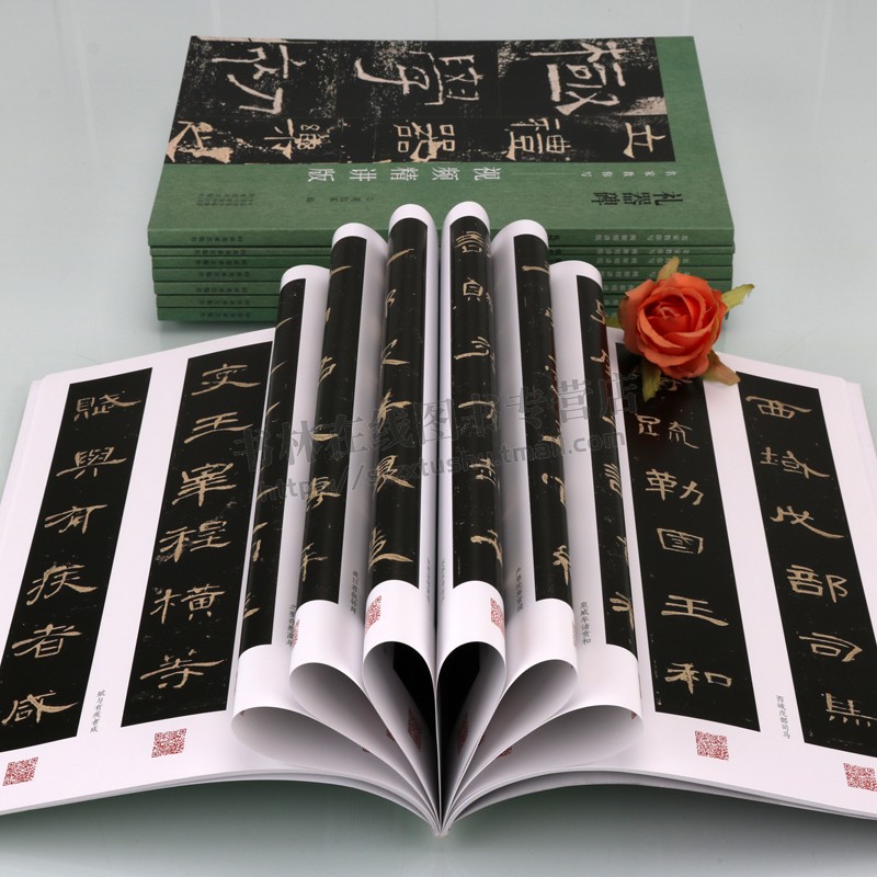 名家教你写视频精讲版系列(共八册)集王羲之书圣教序玄妙塔碑九城宫醴泉铭多宝塔碑张玄墓志颜卿礼碑 书法教材 河南美术出版社