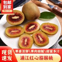 Red Hearts Chic Exotic Fruits Fresh Fruits When Season Full Boxes Pregnant Women Chiechifruit Big Fruits in Sichuan Pujiang Mall