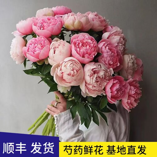 芍药鲜花牡丹重瓣花束云南鲜切花玫瑰百合插花卉情人节基地母亲节 - 图1