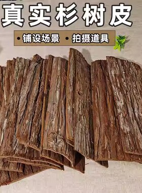 装饰树皮干树皮背景板道具