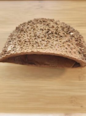 【刺猬壳】天然植物手工diy材料侘寂风装修装饰摆件拍摄道具南美