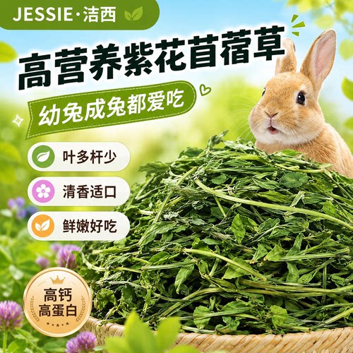 2025头茬紫花苜蓿草干草兔子粮草龙猫荷兰猪饲料烘烤牧草1000克 - 图1