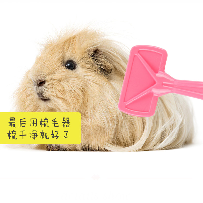 兔子荷兰猪干洗粉宠物仓鼠清洁洗澡用品梳子针梳五指刷套装260克,淘宝优惠券,粉丝福利购,淘宝优惠卷
