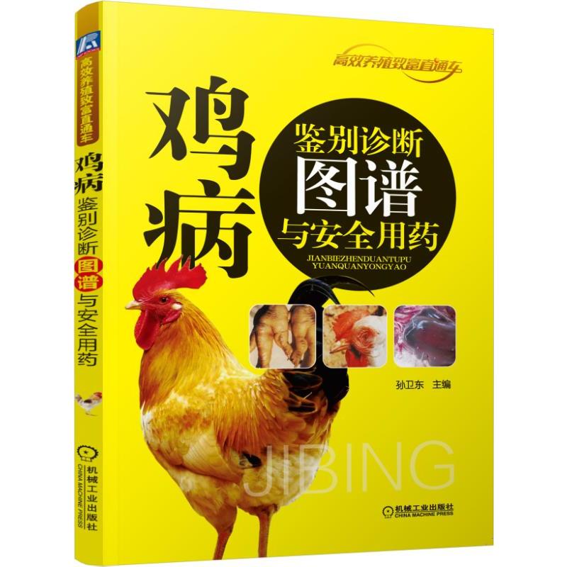 全2册鸡病鉴别诊断图谱与安全用药+山林果园散养土鸡新技术养鸡技术书蛋鸡养殖技术书籍大全鸡病鉴别诊断图谱与防治土鸡肉鸡散养鸡