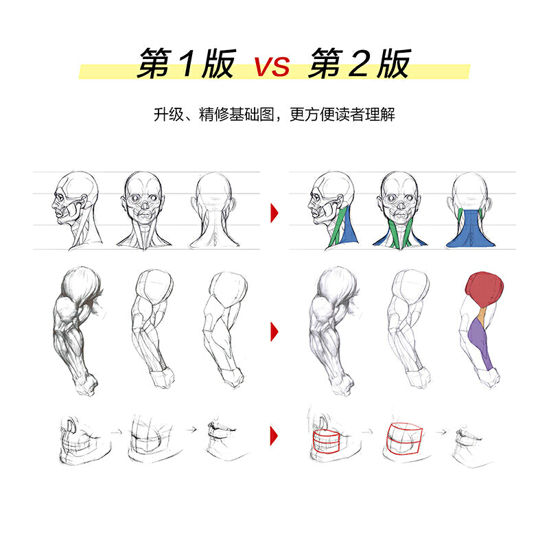 游戏动漫人体结构造型手绘技法第2版动漫人体造型素描速写入门基础教程游戏动漫设计艺用人体技法绘画教程动漫绘画教程-图2