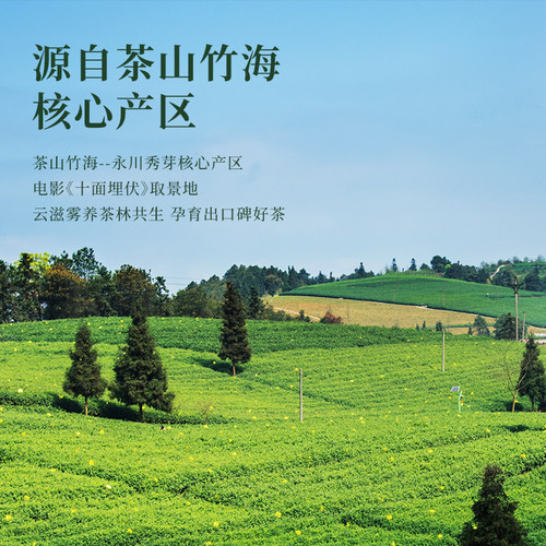 永川秀芽绿茶100g重庆特产明前毛峰高山春茶叶重庆茶业2026新茶 - 图0