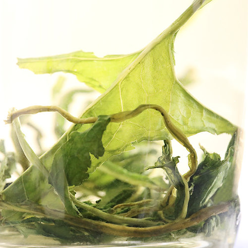 蒲公英茶正品婆婆丁薄公英茶古古丁甫公英茶非野生浦公英干茶 - 图2