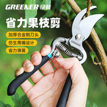 Green forest cut branches Branches Scissors Bonsai Special Tools Potted Gardening to produce Leaf Bud Cut water Pliers Flower Art Scissors