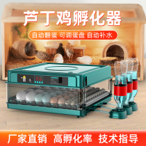 Wei Zhen Luding Chicken Incubators Small Home Mini Hatching Machine Fully Automatic Intelligent Hatchery Small Chicken Hatching Box