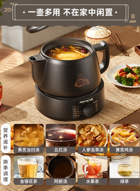 九阳全自动中药电煎壶家用