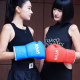 Raja professional boxing gloves for adults