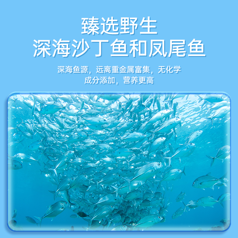 美国挪威小鱼成人欧米茄深海鱼油Omega加强版DHA健身学习胶囊60粒 - 图3