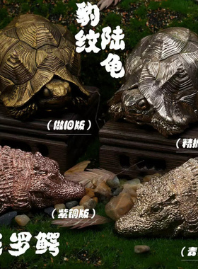 豹纹陆龟白肢野牛吉金万里重工青