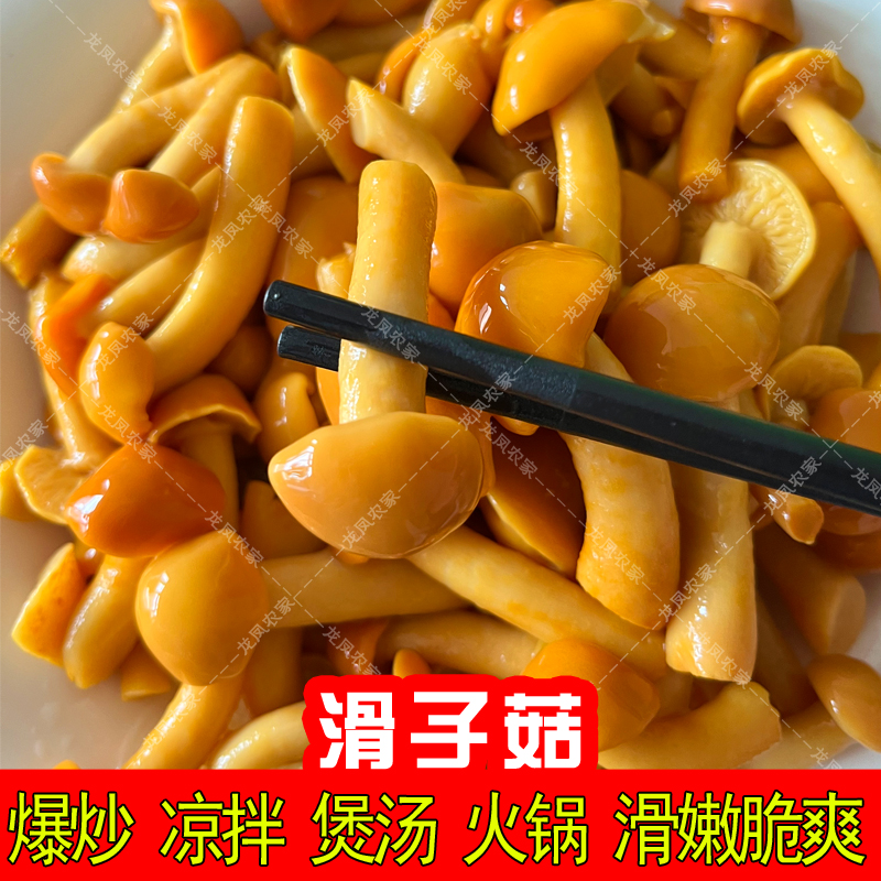 300gX5袋滑子菇非新鲜滑菇滑子蘑珍珠菇承德特产凉拌煲汤涮锅包邮 - 图1