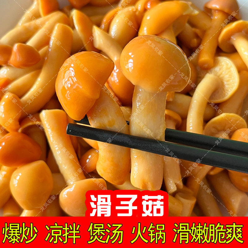 300gX5袋滑子菇非新鲜滑菇滑子蘑珍珠菇承德特产凉拌煲汤涮锅包邮-图2