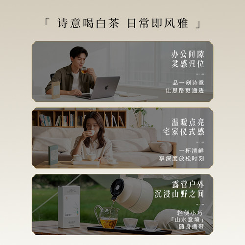 绿雪芽福鼎白茶诗经风寿眉茶叶试喝品鉴装5g*3 - 图1