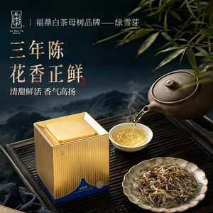 绿雪芽福鼎白茶2023年老白茶正方罐白牡丹茶叶大金罐礼盒冷泡260g