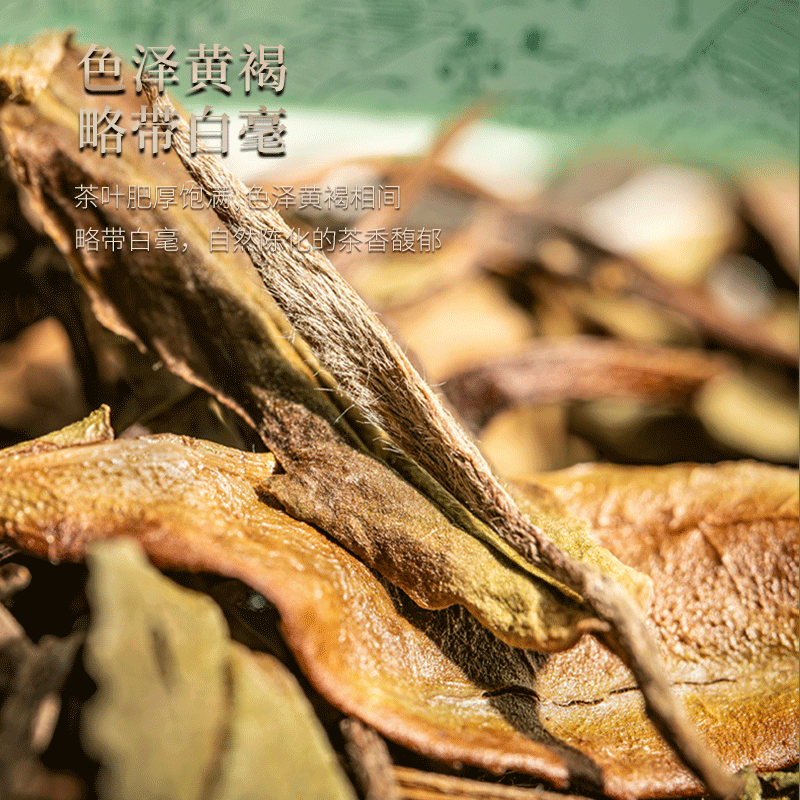 绿雪芽福鼎白茶沁心2020年一级寿眉散茶礼盒70g礼赠,淘宝优惠券,粉丝福利购,淘宝优惠卷