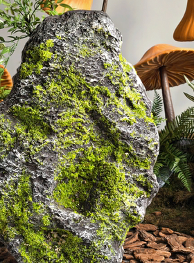 雨林玻璃钢仿真青苔石摆件环保拍摄庭院造景户外绿植搭配假山装饰