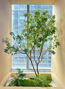 室内仿真绿植造景实景马醉木吊钟真树杆酒店大堂庭院景观植物装饰