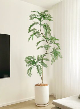 大型仿真绿植蓝花楹室内盆栽仿生植物假树高端轻奢客厅落地装饰品