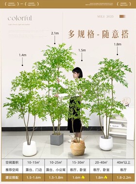 假绿植装饰仿真南天竹高端轻奢客厅落地大型室内户外盆景摆件假树